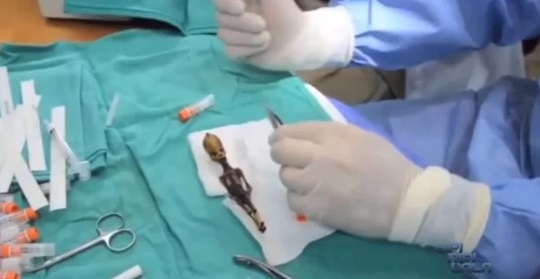 موجود فضایی شیلی