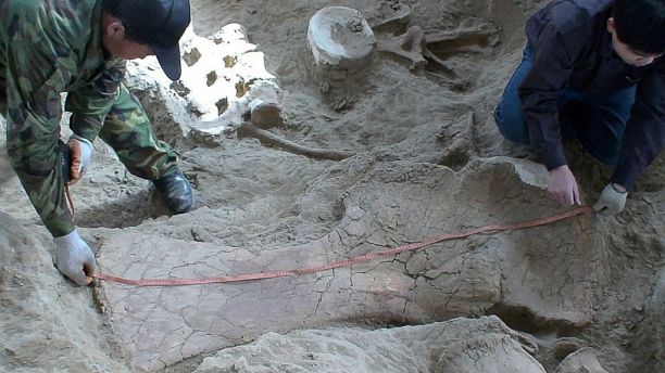 کشف فسیل لینگو؛ اژدهای شگفت‌انگیز در چین