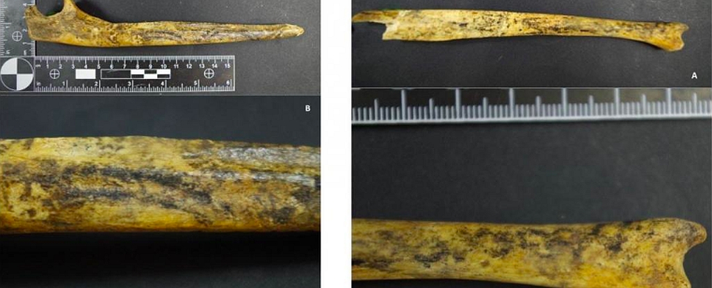 کشف استخوان‌های تزئین‌ شده یک زن در اوکراین