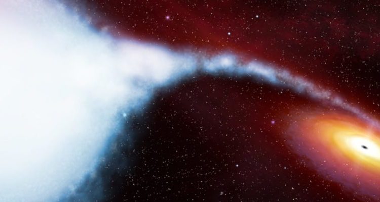 چگونگی تاثیر گرانش روی شکل ماده در نزدیکی سیاهچاله