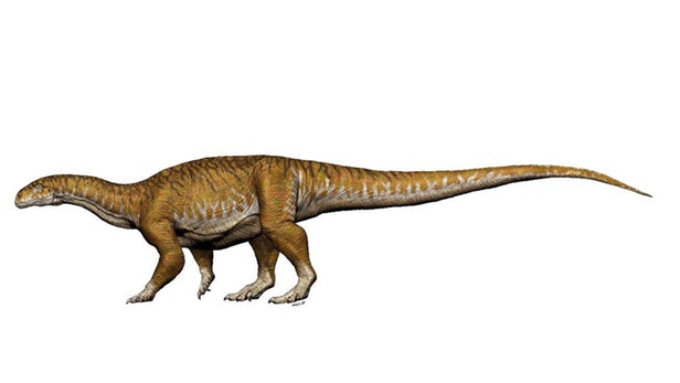 کشف فسیل یک دایناسور گیاهخوار و عظیم الجثه در آرژانتین