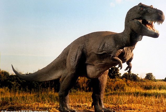 تی رکس از آنچه که فکر می کنیم سریعتر بوده است