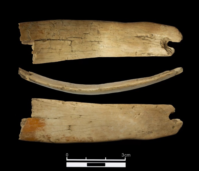 یک تاج 50000 هزار ساله و از جنس عاج ماموت در غاری در سیبری یافت شد