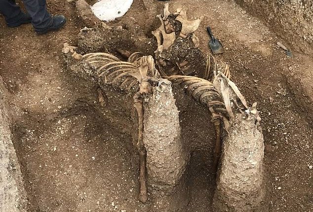 جنگجوی عصر آهن که با 9 نیزه کشته شده تا بصورت خون آشام به زندگی برنگردد