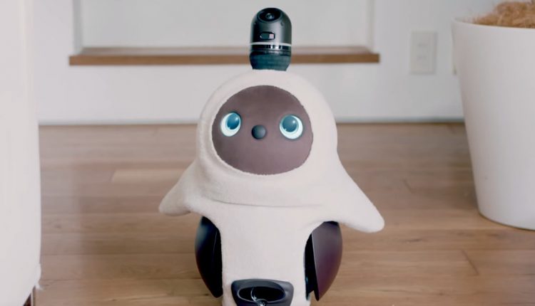 ربات ژاپنی که برای دوست داشتن ساخته شده است