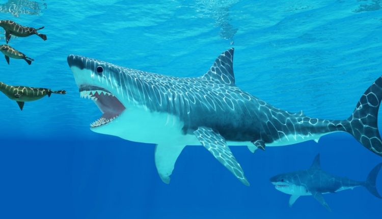 آیا ابرنواخترها باعث انقراض مگالدون از روی زمین شدند؟