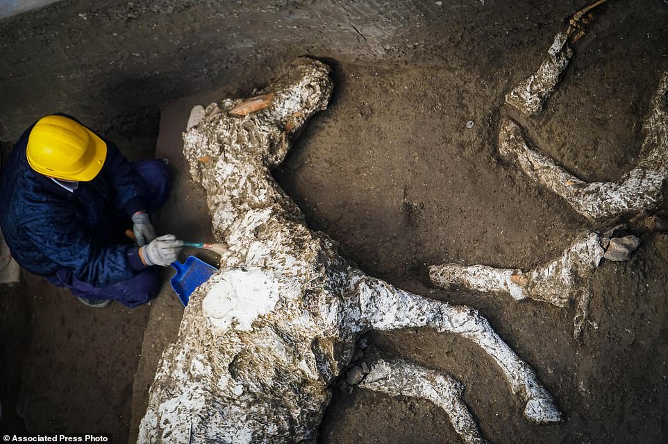 کشف اسبهای سنگ شده در استبل باستانی در نزدیکی پومپئی