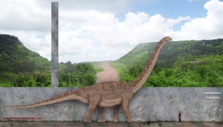 آیا آرژانتینوسوروس بزرگترین دایناسور جهان است؟