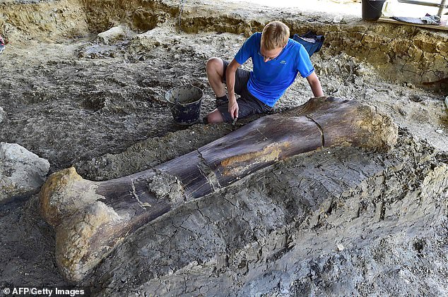 کشف استخوان یک دایناسور با ۲ متر طول و نیم تن وزن