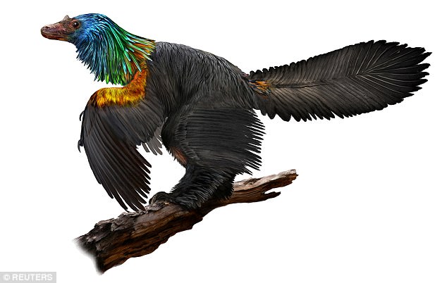 کشف فسیل دایناسور پرنده رنگارنگ با نام کای هون