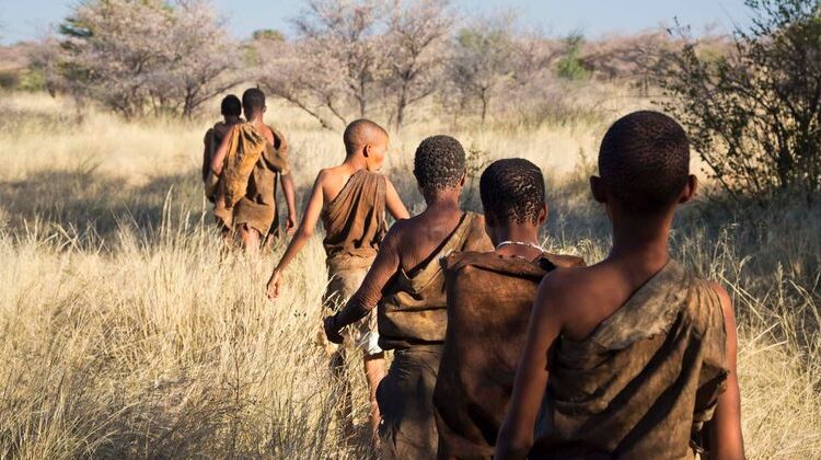 بوتسوانا سرزمین مادری و منشأ انسان‌های امروزی