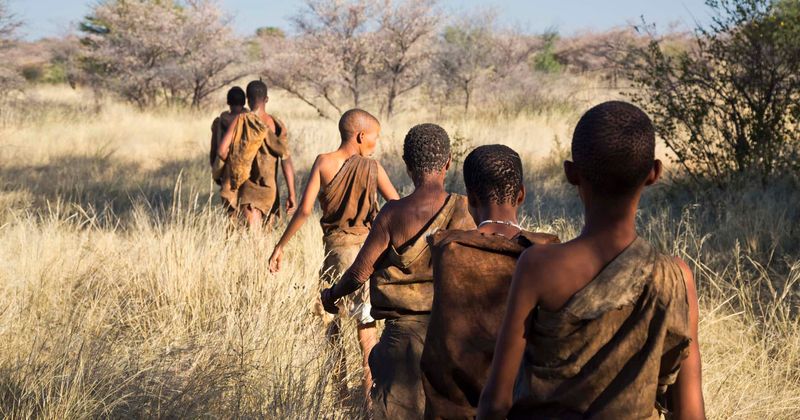 بوتسوانا سرزمین مادری و منشأ انسان‌های امروزی