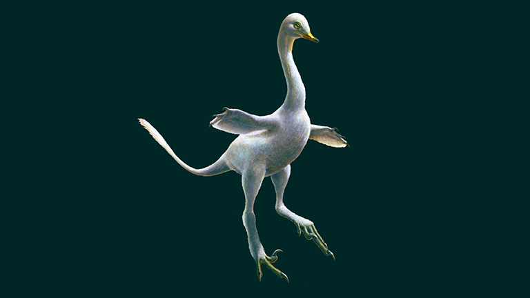 هالسکارپتور، اولین و تنها دایناسور دوزیستی که تاکنون کشف شده