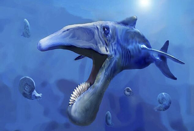 فسیل کوسه ماقبل تاریخ با دندان‌های شبیه اره برقی