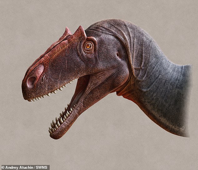 گونه جدید دایناسور گوشتخواری که به اندازه اتوبوس بود