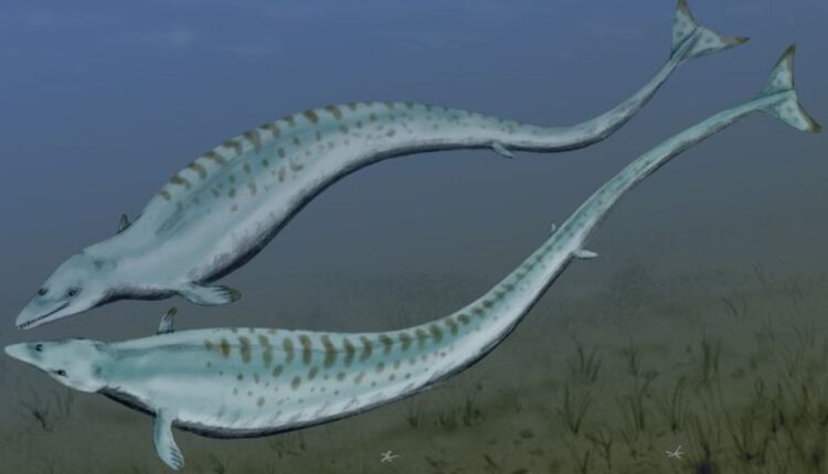 نهنگی که نه با پا و نه با دم بلکه با حرکت کمر شنا می‌کرد