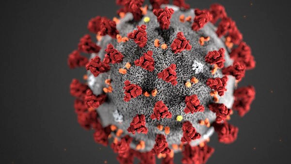 کشف درمان احتمالی کروناویروس (کووید-19) توسط محققان استرالیایی
