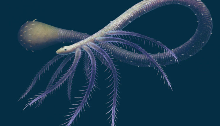 اولین جاندار پیچیده تکامل یافته تاریخ یک موجود شبه کرم بود