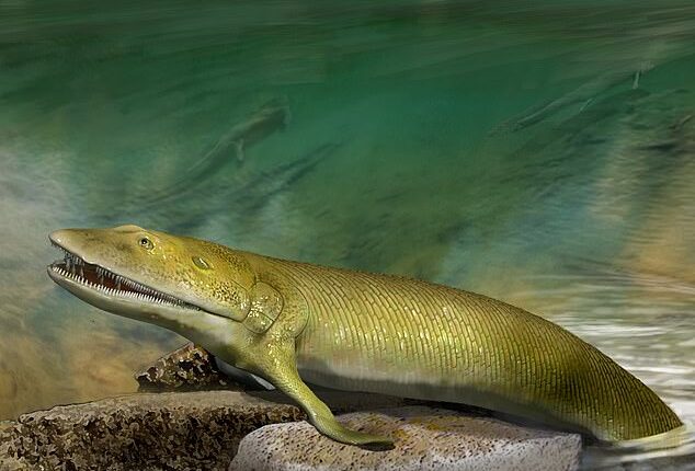 موجود دریایی ماقبل تاریخ دارای انگشت