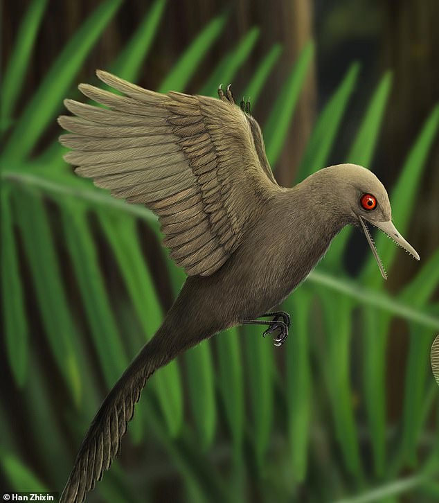 کوچک‌ترین دایناسور جهان یک پرنده ۵ سانتیمتری بود
