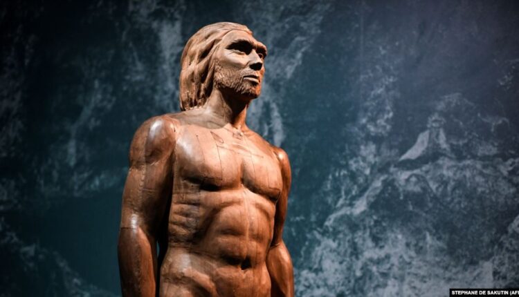 همزیستی انسان هوشمند با نئاندرتال