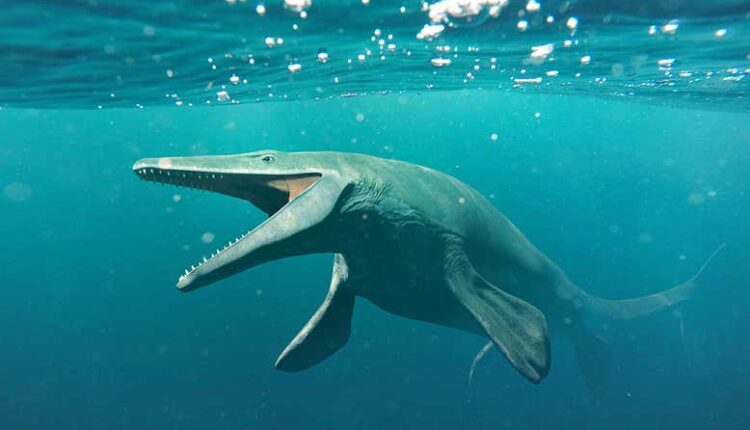 کشف فسیل تخم موساسور