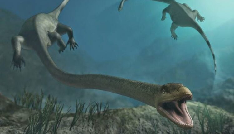 کشف معمای هیولای ۶ متری ۲۴۵ میلیون ساله