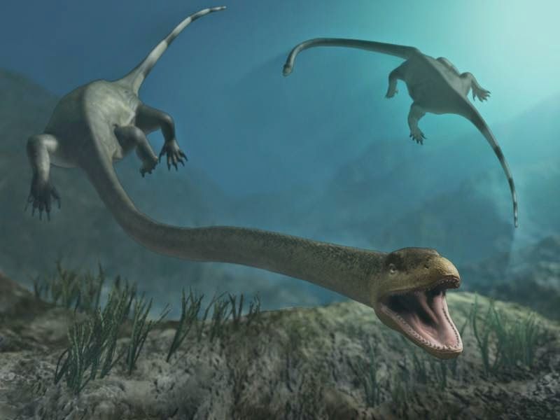 کشف معمای هیولای ۶ متری ۲۴۵ میلیون ساله