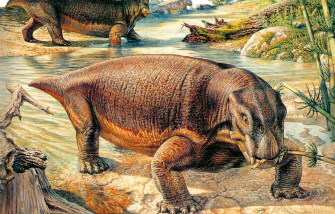 لیستروساروس اولین جانور زمین بود که به خواب زمستانی می‌رفت