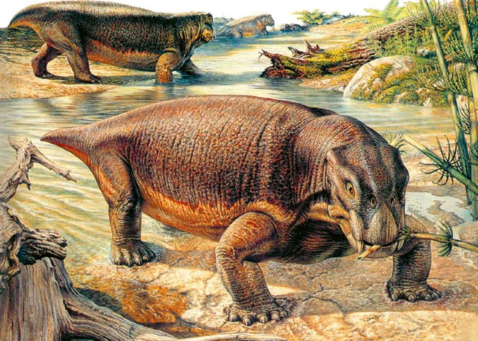 لیستروساروس اولین جانور زمین بود که به خواب زمستانی می‌رفت