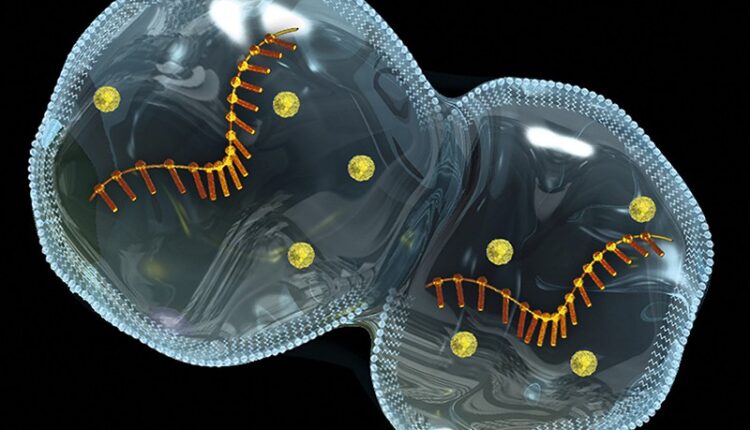 بررسی ۷ نظریه درباره منشأ حیات