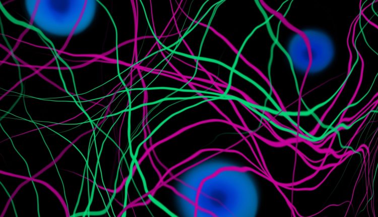 کشف منشا میدانهای مغناطیسی بوسیله ماده تاریک